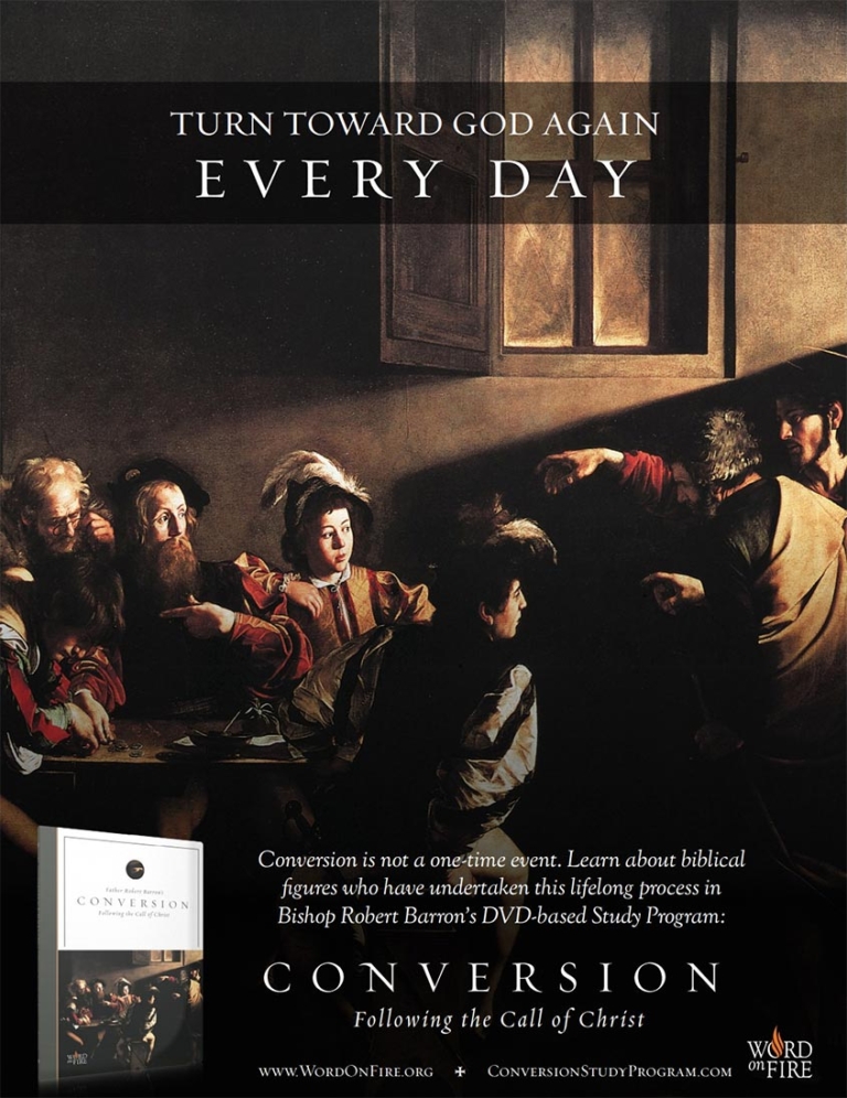 Robert Barron’s DVD series, Conversion Church of St. Mary of the Assumption